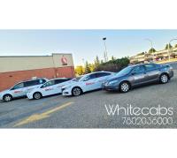 White Cabs - Spruce Grove Taxi & Stony Plain Taxi image 6