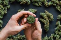 Weed Dispensary Hamilton | Dacanna Cannabis shop image 2