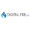 Digital Fire logo