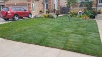 Green Warriors Landscaping image 3