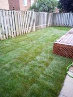 Green Warriors Landscaping image 8