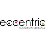 Eccentric Business Intelligence image 4
