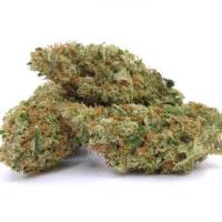Mississauga Weed Delivery image 3