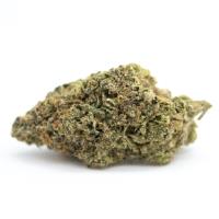 Mississauga Weed Delivery image 4