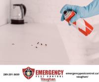 Emergency Pest Control Vaughan image 2