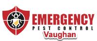 Emergency Pest Control Vaughan image 1