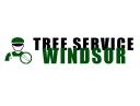 Windsor Tree Service Pros logo