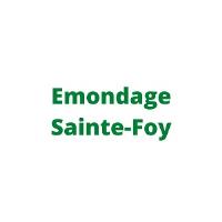 Emondage Sainte-Foy image 2