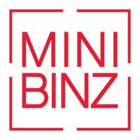 Mini Binz image 6