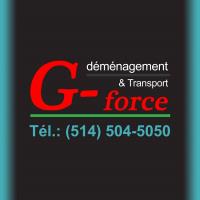 Déménagement & Transport G-Force image 12