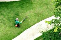 Windsor Lawn Care and Snow Removal image 2