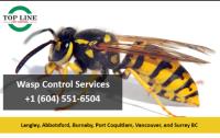 Top Line Pest Control image 1