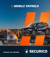 Securico Security image 2