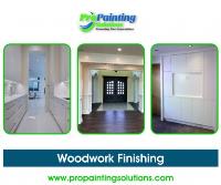 ProPainting Solutions Inc. image 4
