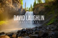 David Laughlin Photography image 3