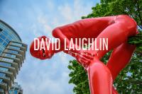 David Laughlin Photography image 8