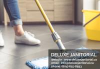 Deluxe Janitorial image 3