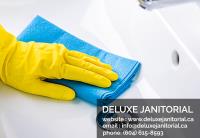 Deluxe Janitorial image 5