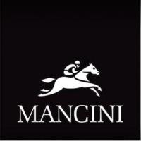 MANCINI Leather Goods Inc. image 1