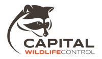 Capital Wildlife Control image 1
