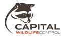 Capital Wildlife Control logo