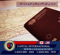 Capital International Immigration Services image 43