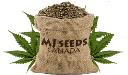 MJ Seeds Canada logo