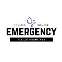 Emergency Flood Response image 1