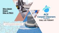 ACE Carpet Cleaners Chilliwack image 1