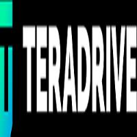 TeraDrive Data Recovery image 1