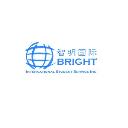 Bright International Student Service Inc. (BISSI) logo
