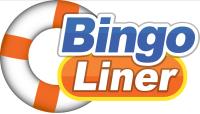Bingo Liner image 4