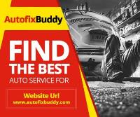 Auto Fix Buddy image 2