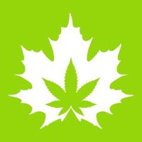 The House Of Cannabis image 9