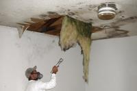 Absolute Mold Remediation Ltd. image 7