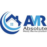 Absolute Mold Remediation Ltd. image 1