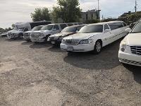 Sunny Toronto limo Rental & Party Bus Services image 11