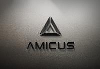 Amicus International Consulting image 1