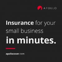 APOLLO Insurance image 2