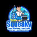 Squeaky Clean Window & Eaves Barrie logo