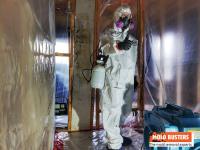 Mold Busters Kitchener image 1