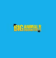 Big Animal Encounters image 1