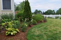 Abbotsford Landscaping Company image 4