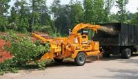 Welland Tree Removal Services image 3