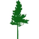 Abbotsford Tree Specialists logo
