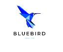 BlueBird Health logo