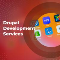 Drupal India: Drupal Development Company image 6