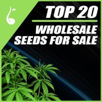 Weed Seeds USA image 1