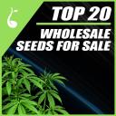 Weed Seeds USA logo
