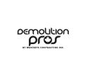 Demolition Pros logo